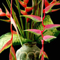 floral arrange